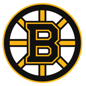 Boston Bruins NHL Licensed Jersey Namebar Replacement