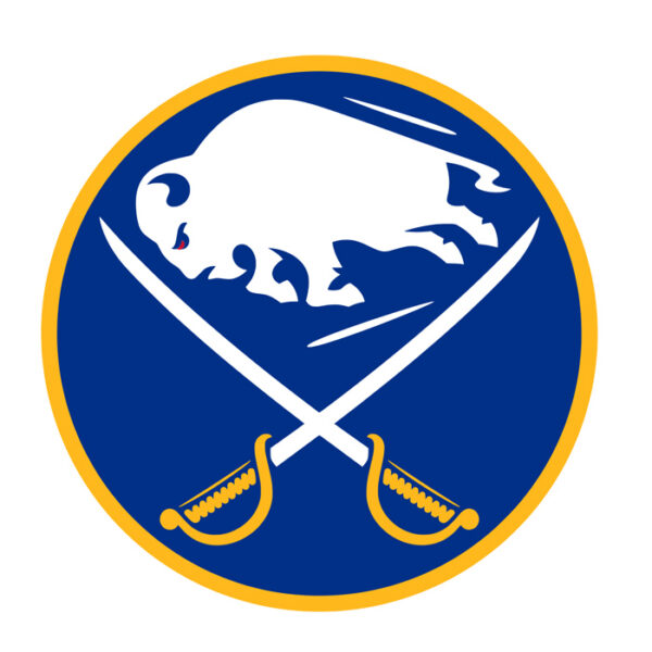 Buffalo Sabres NHL Licensed Jersey Namebar Replacement