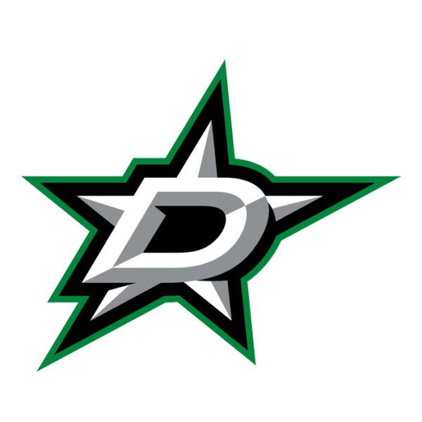 Dallas Stars NHL Licensed Jersey Namebar Replacement