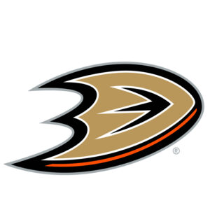 Anaheim Ducks NHL Licensed Jersey Namebar Replacement