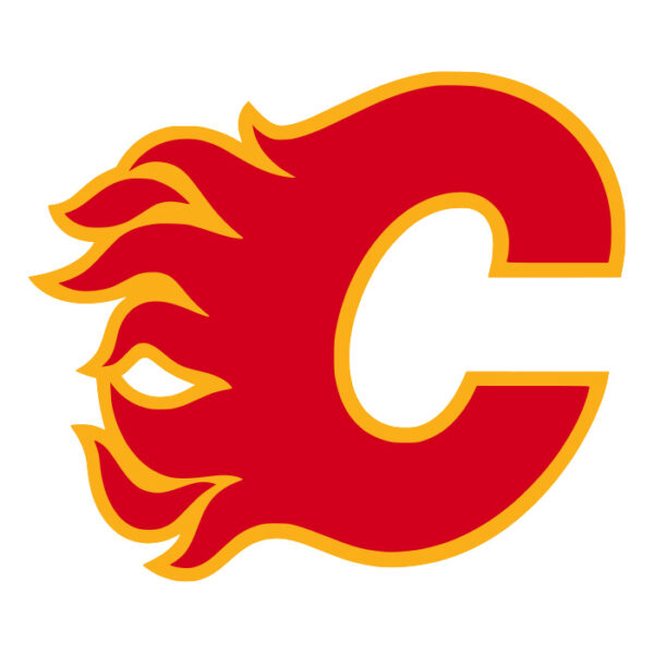 Calgary Flames NHL Licensed Jersey Namebar Replacement