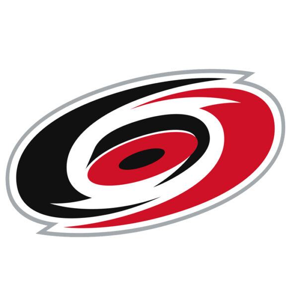 Carolina Hurricanes NHL Licensed Jersey Namebar Replacement