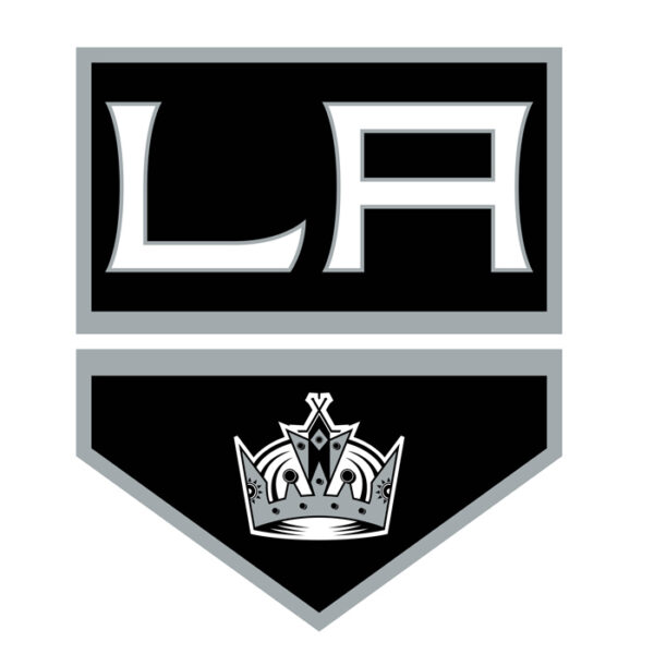 Los Angeles Kings NHL Licensed Jersey Namebar Replacement