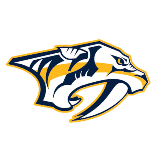 Nashville Predators NHL Licensed Jersey Namebar Replacement