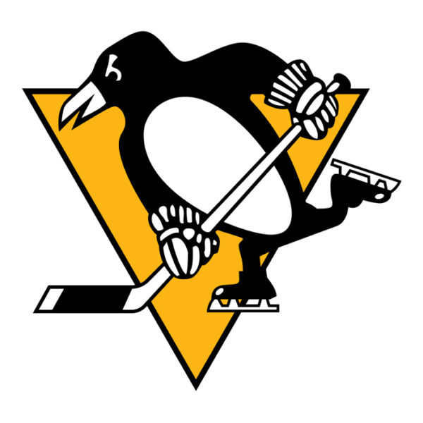 Pittsburgh Penguins NHL Licensed Jersey Namebar Replacement