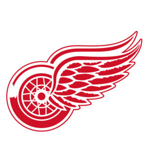 Detroit Red Wings NHL Licensed Jersey Namebar Replacement