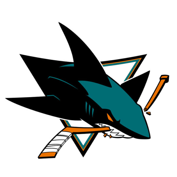 San Jose Sharks NHL Licensed Jersey Namebar Replacement