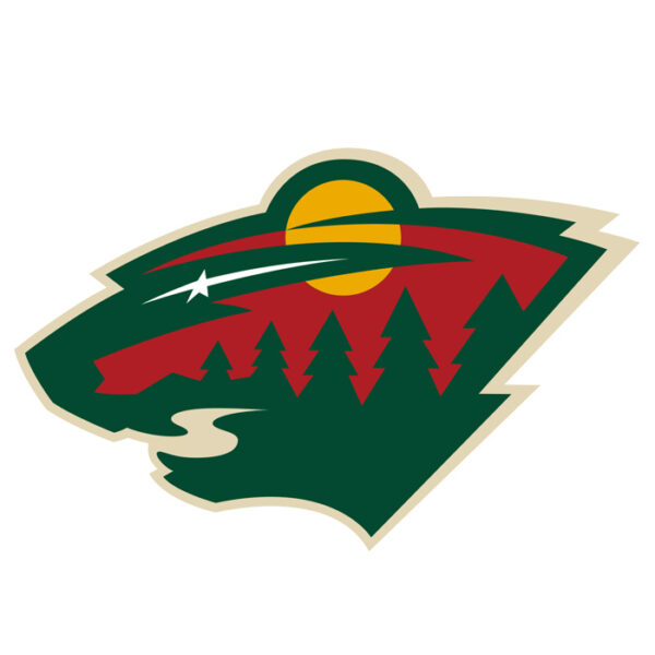 Minnesota Wild NHL Licensed Jersey Namebar Replacement