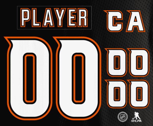 Anaheim Ducks NHL Licensed Jersey Customization Service - Image 2