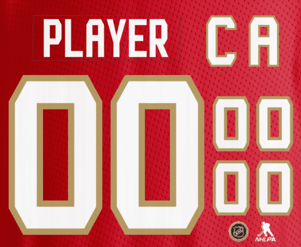 Florida Panthers NHL Licensed Jersey Customization Service - Image 2