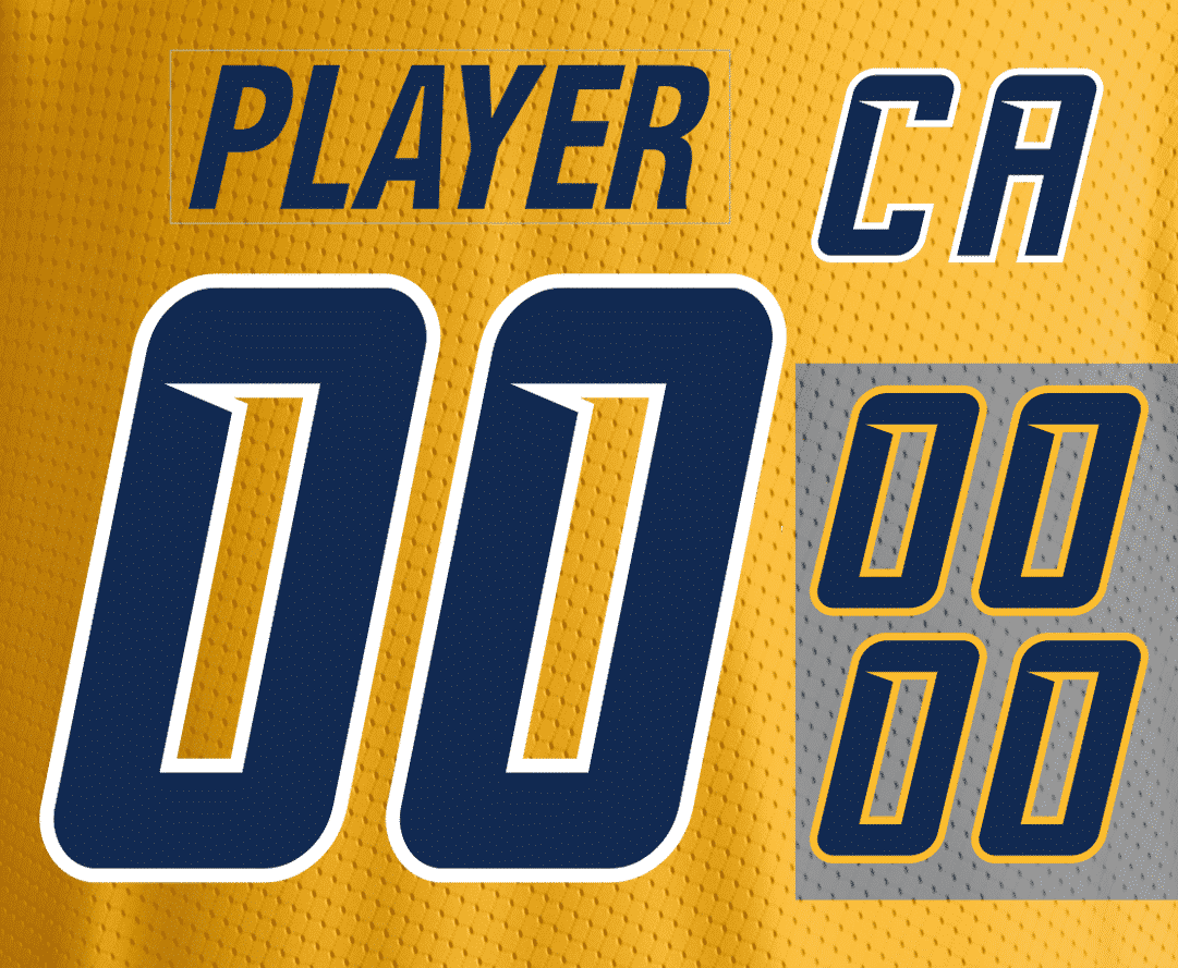 Nashville Predators NHL Licensed Jersey Kit - Image 2